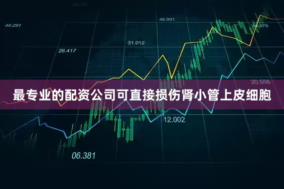 最专业的配资公司可直接损伤肾小管上皮细胞